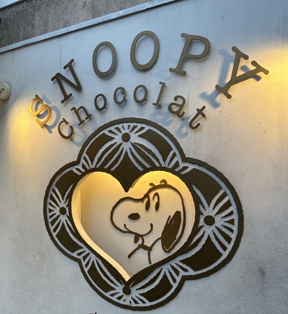 アップロード画像